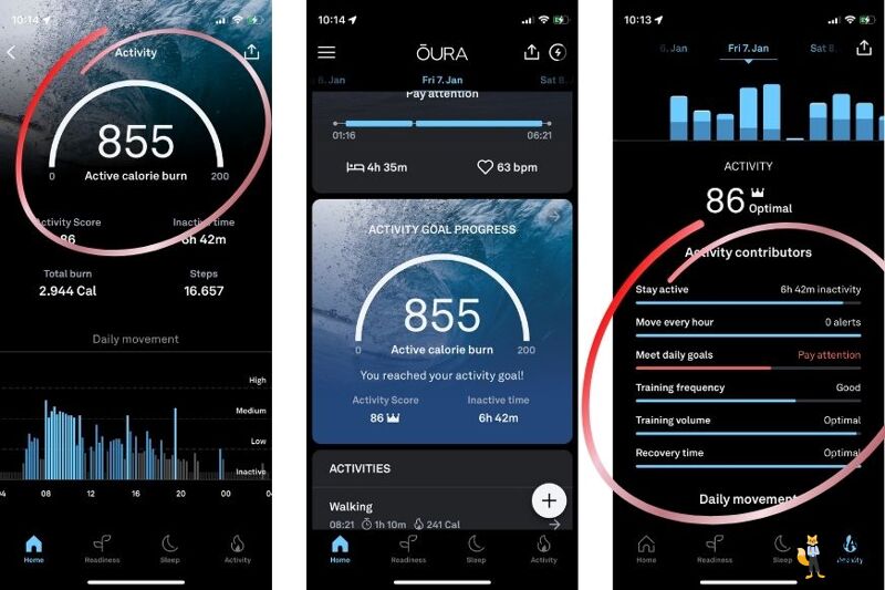 You can see the Oura app open, showing the total calories burned.